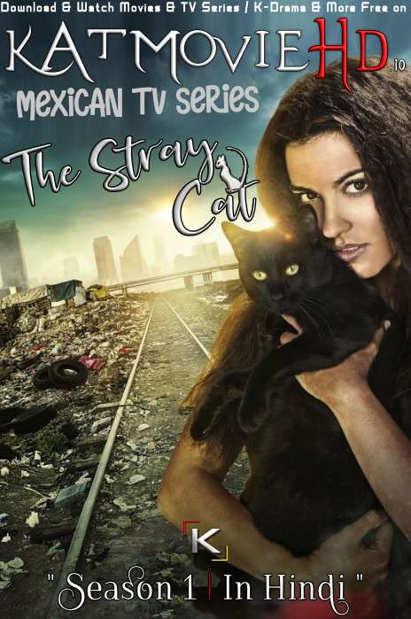The Stray Cat: Season 1 (Hindi Dubbed) 720p Web-DL [Episodes 1-12 Added ] Mexican TV Series